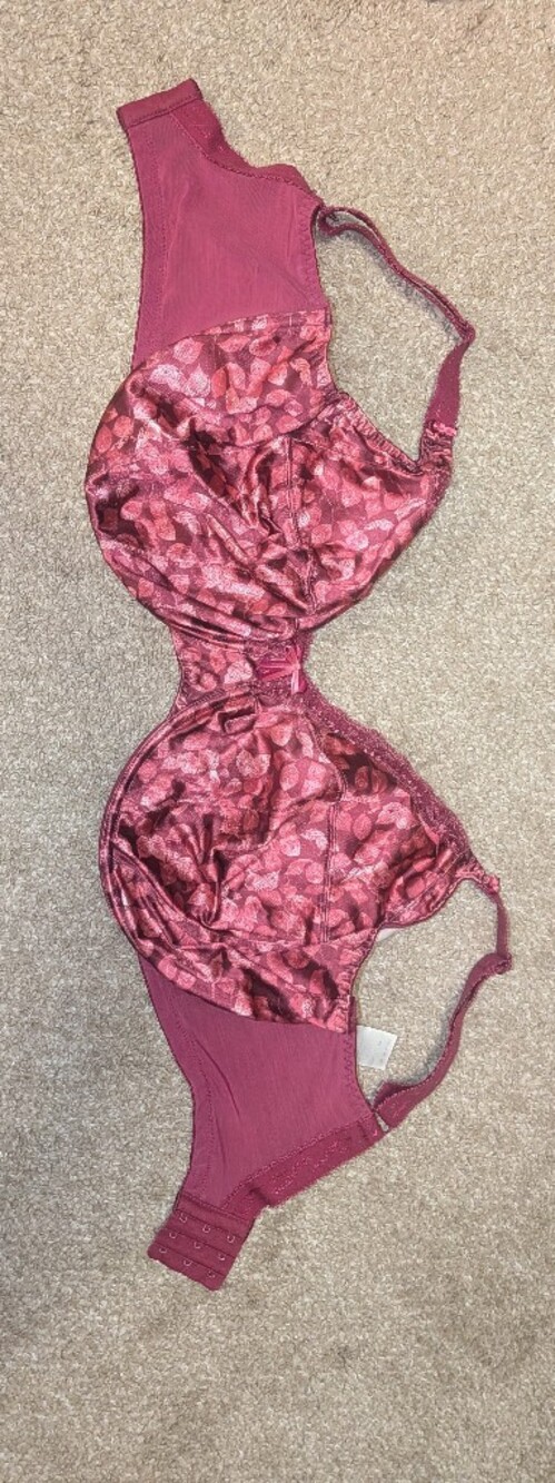Elomi Caitlyn Bra in Wine Red Leaf Print 38HH